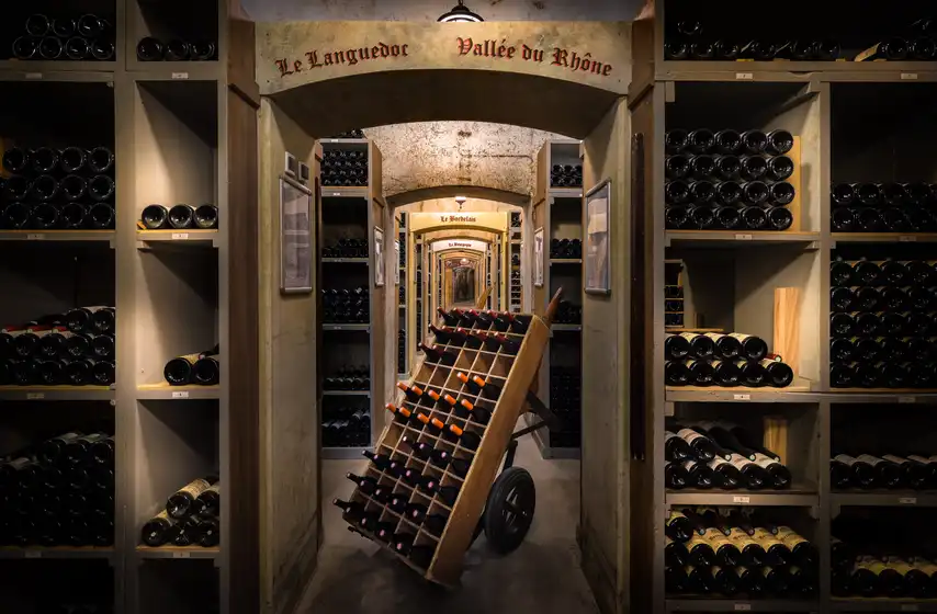 Large wooden wine barrels in cellar