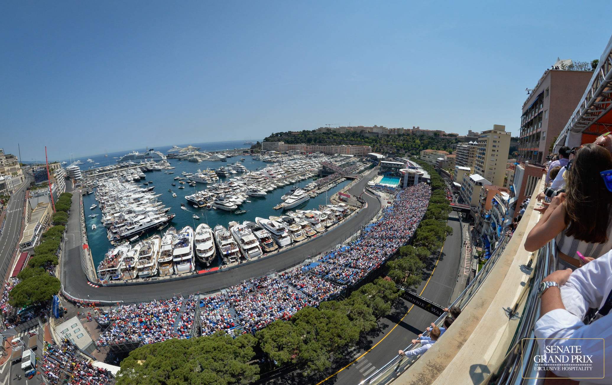 charme Charmant déguisement date des grand prix f1 donc maladie devise